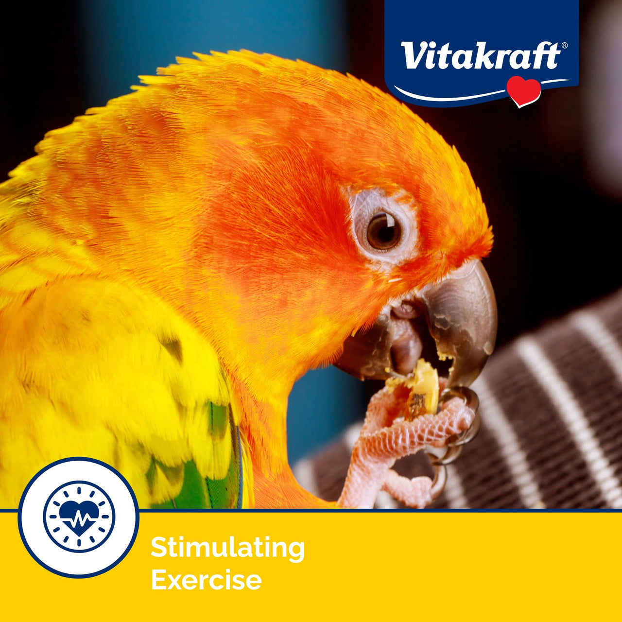 Vitakraft Crunch Sticks Conure Treat 2 Sticks - Apple and Orange Flavor – Triple Baked for Crunch – with Added Vitamins and Minerals Natural with Wood Chew Center – Includes Cage Clip Holder