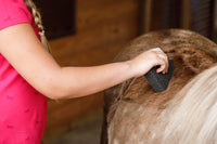 Thumbnail for Farnam Slick 'N Easy Horse Grooming Block