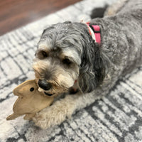 Thumbnail for SPOT Dura-Fused Leather Rabbit Dog Toy – Durable Real Leather & Jute Chew Toy with Squeaker, Double-Stitched for Moderate Chewers, Small & Medium Dogs, 7.5in