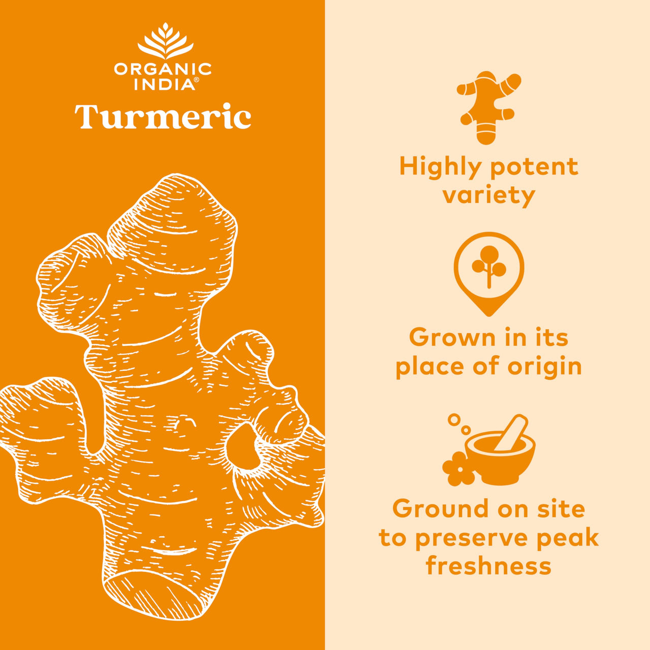 ORGANIC INDIA Turmeric Curcumin Herbal Supplement - Joint Mobility & Immune Support, Healthy Inflammatory Response, Whole Root Supplement, Trikatu, USDA Certified Organic, Non-GMO - 180 Capsules