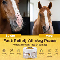 Thumbnail for Happy Jack Onex Fly Repellent Ointment for Dogs & Horses, Targeted Wound Dressing that Repels & Kills Flies on Contact, Helps Protect Open Sores, USA, 4 oz Jar
