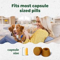 Thumbnail for Greenies Pill Pockets for Dogs Large Size, Dog Treat Pouch for Capsule Medication, Peanut Butter Flavor, 15.8 oz. Pouch