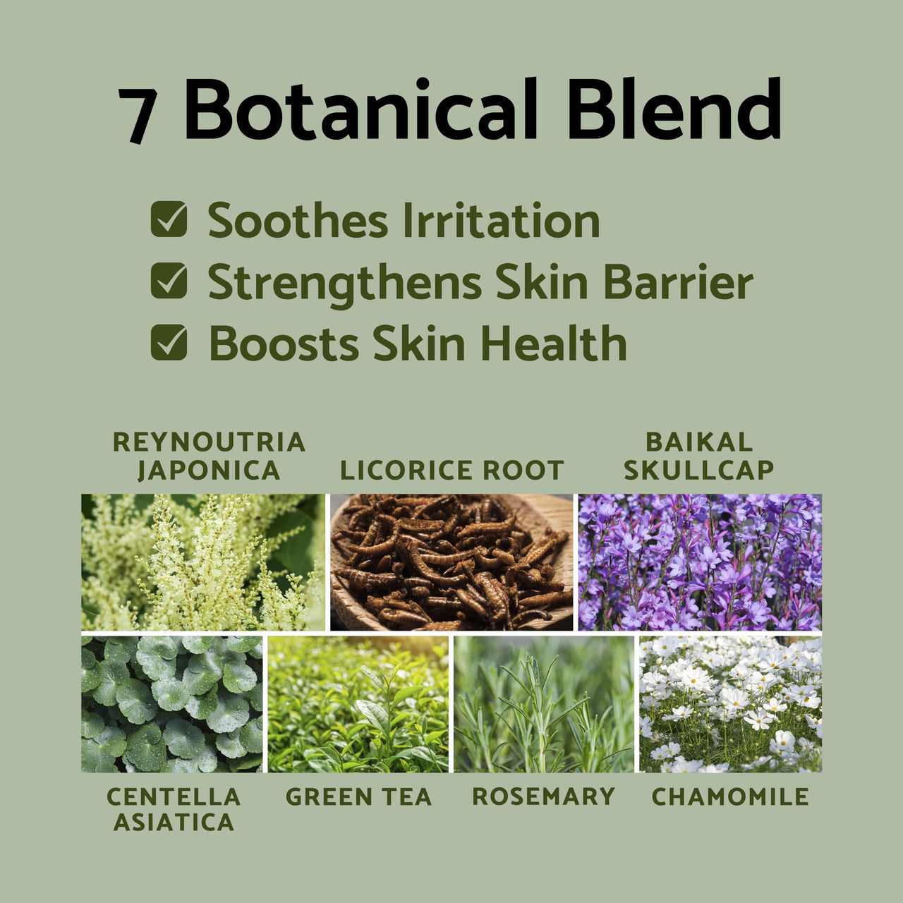 IUNIK Propolis 70% Vitamins 17% Synergy Serum - Centella Asiatica Calming Soothing Deep Nourishing for Dry Dull Spot Hyperpigmentation Sensitive Acne-prone Skin No Pore Clogging Korean Skincare