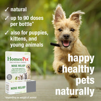 Thumbnail for HomeoPet Nose Relief, Safe and Natural Sinus Supplement for Cats, Dogs, and Other Small Animals, 15 Milliliters