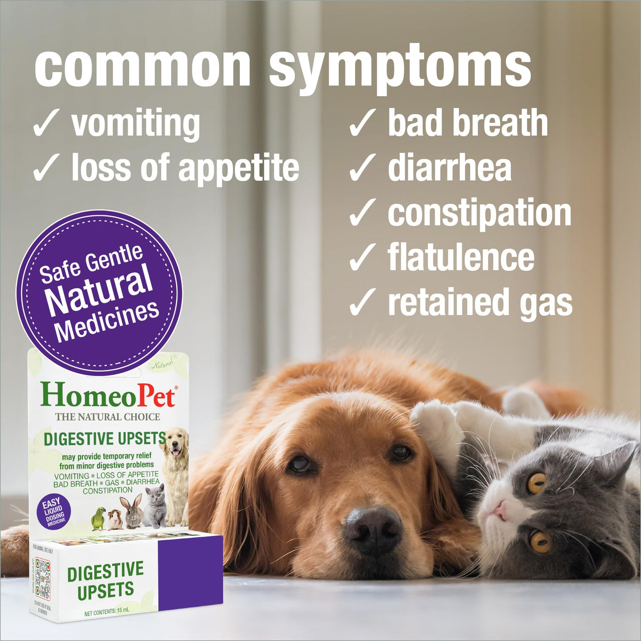 HomeoPet Digestive Upsets, Safe, Gentle, and Natural Cat and Dog Digestive Support, 15 Milliliters