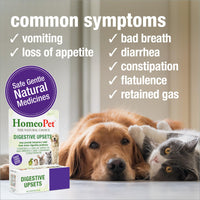 Thumbnail for HomeoPet Digestive Upsets, Safe, Gentle, and Natural Cat and Dog Digestive Support, 15 Milliliters