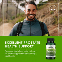 Thumbnail for Swanson Pygeum - Herbal Supplement Promoting Male Prostate Health, Bladder, and Urinary Tract Health Support - Mens Health Supplement - (100 Capsules, 125mg Each) 4 Pack