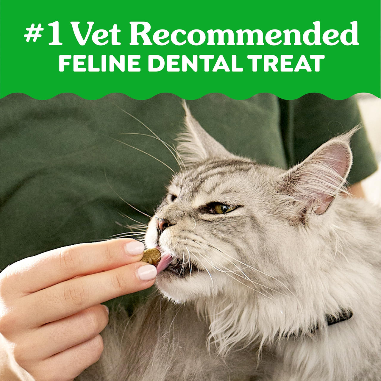 Greenies Cat Treats, Feline Veterinarian-Recommended Adult Natural Dental Cat Treats, Oven Roasted Chicken Flavor, 21 oz. Tub