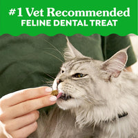 Thumbnail for Greenies Cat Treats, Feline Veterinarian-Recommended Adult Natural Dental Treats, Catnip Flavor, 21 oz. Tub