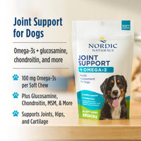 Thumbnail for Nordic Naturals Pet Joint Support + Omega 3 Soft Chews for Dogs, Pork Bone Broth Flavored - Promotes Mobility, Hip and Joint Support with Omega-3 Fish Oil, MSM, EPA & DHA - 30 Non-GMO Chews