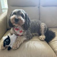 Thumbnail for SPOT Baa Baa Black Sheep Plush Dog Toy - Cute and Cuddly Fleece Toy with Squeaker for Small to Medium Dogs and Puppies, 11in Black and White Lamb