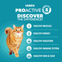 Thumbnail for IAMS Proactive Health Dry Cat Food, Indoor Weight and Hairball Care Cat Food Dry Recipe, with Salmon, 3.5 lb. Bag