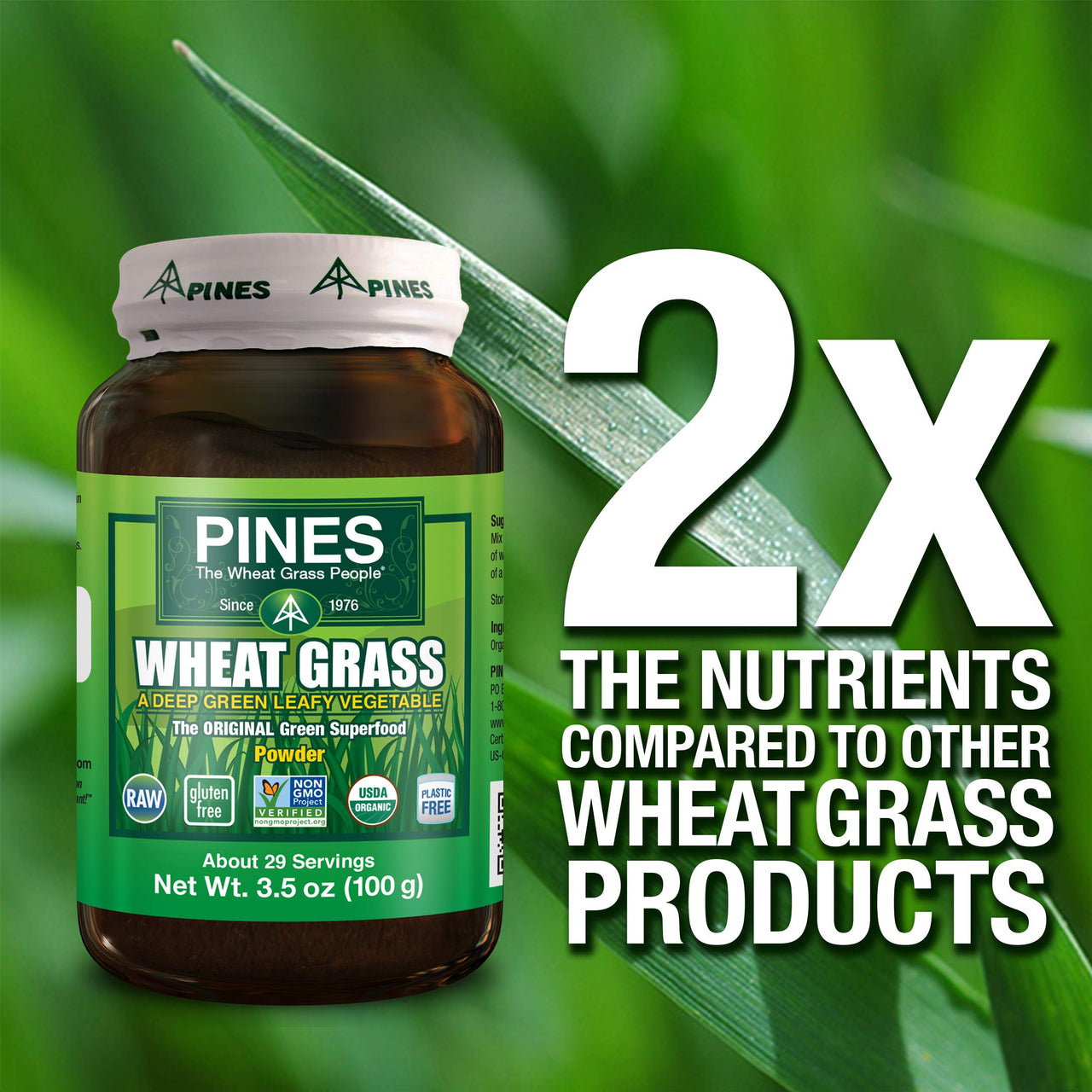 Pines International Wheat Grass Powder, 3.5 Ounce