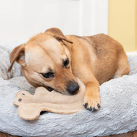 Thumbnail for SPOT Dura-Fused Leather Squirrel Dog Toy – Real Leather & Jute Fabric, Double-Stitched & Durable, Soft Stuffed Squeaky Interactive Chew Toy for Moderate Chewers, Small & Medium Dogs, 8in