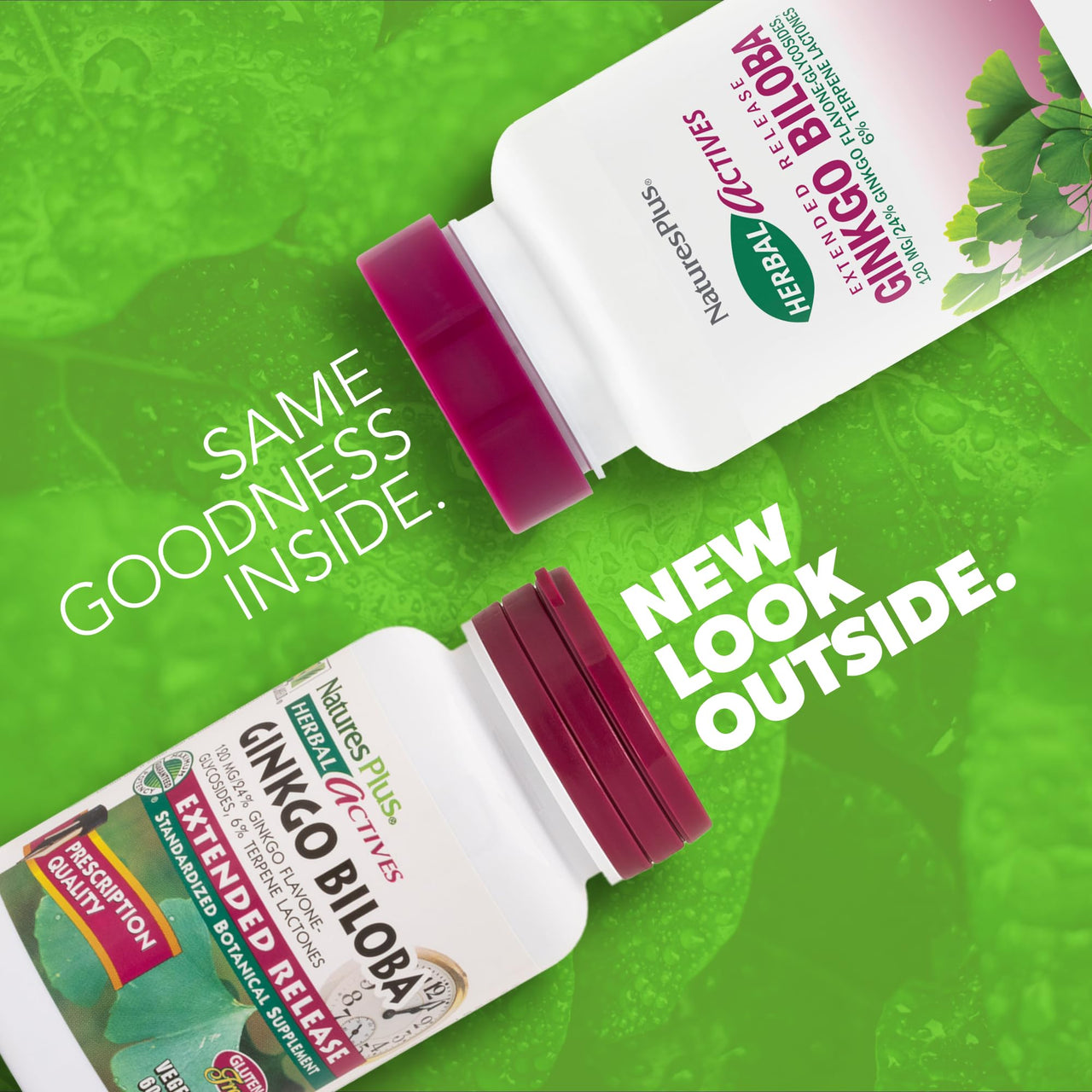 NaturesPlus Herbal Actives Ginkgo Biloba, Extended Release - 60 Tablets - Vegetarian, Gluten Free - 60 Servings