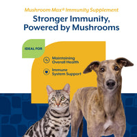 Thumbnail for NaturVet Mushroom Max Advanced Immune Support Dog Supplement – Helps Strengthen Immunity, Overall Health for Dogs – Includes Shitake Mushrooms, Reishi, Turkey Tail – 60 Ct.