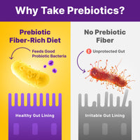 Thumbnail for InnovixLabs Prebiotic Fiber Powder for Gut & Digestive Health, High Fiber Supplement for Women and Men with Chicory Root, FOS, Acacia, Inulin, Soluble & Insoluble Fiber, No Added Sugar, 30-Day Supply