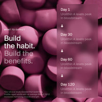 Thumbnail for Timeline Mitopure Urolithin A Supplement Gummies - Clinically Proven Support for Healthy Aging Cellular Energy Muscle Strength and Longevity