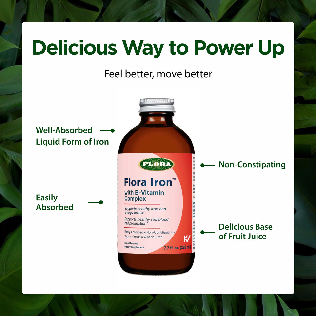 Flora Iron with B-Vitamin Complex - Helps Maintain Healthy Iron Levels - Non-Constipating, Highly Absorbable - Vitamin-B & Liquid Iron - Vegan Supplement - Yeast & Gluten Free, 7.7-oz. Glass Bottle
