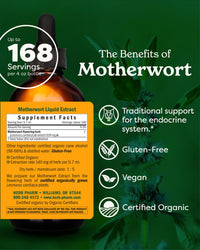 Thumbnail for Herb Pharm Certified Organic Motherwort Liquid Extract for Endocrine System Support - 4 Ounce