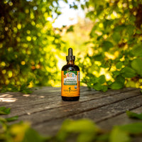 Thumbnail for Herb Pharm Kids Certified-Organic Alcohol-Free Echinacea Glycerite Liquid Extract, 4 oz