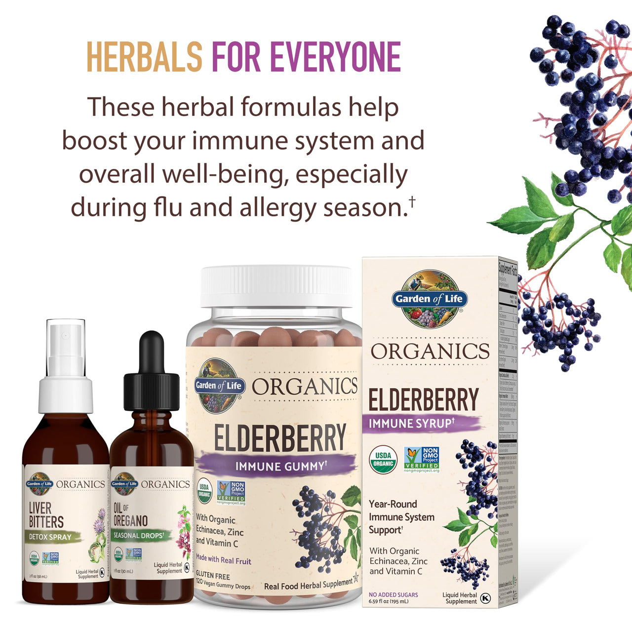 Garden of Life Organics Elderberry Immune Support for Kids with Zinc, Vitamin C - Kids Elderberry & Sleep Immune Syrup Liquid, Bedtime Herbs for Children, No Alcohol, No Added Sugar, 3.92 fl oz