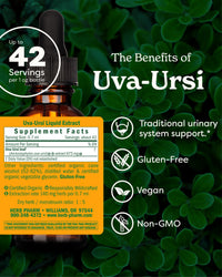 Thumbnail for Herb Pharm Uva Ursi Liquid Extract for Urinary System Support - 4 Ounce