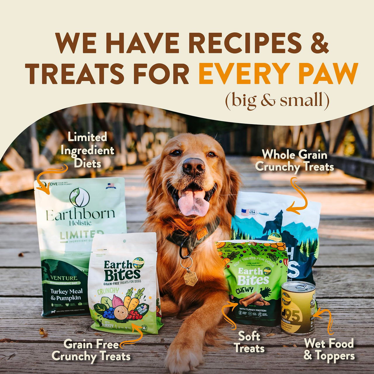 Earthborn Holistic Great Plains Feast Bison Meal & Vegetables Grain-Free Dry Dog Food 4 lb