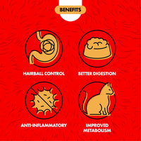 Thumbnail for Miracle Care Cat A'bout Cat Grass Kit for Indoor Cats, 5.25 Ounce, Hairball Control, Anti-Inflammatory, Improves Digestion and Metabolism