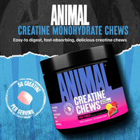 Thumbnail for Animal Creatine Chews Tablets - Enhanced Creatine Monohydrate with AstraGin to Improve Absorption, Sea Salt for Added Pumps, Delicious and Convenient Chewable Tablets - Fruit Punch
