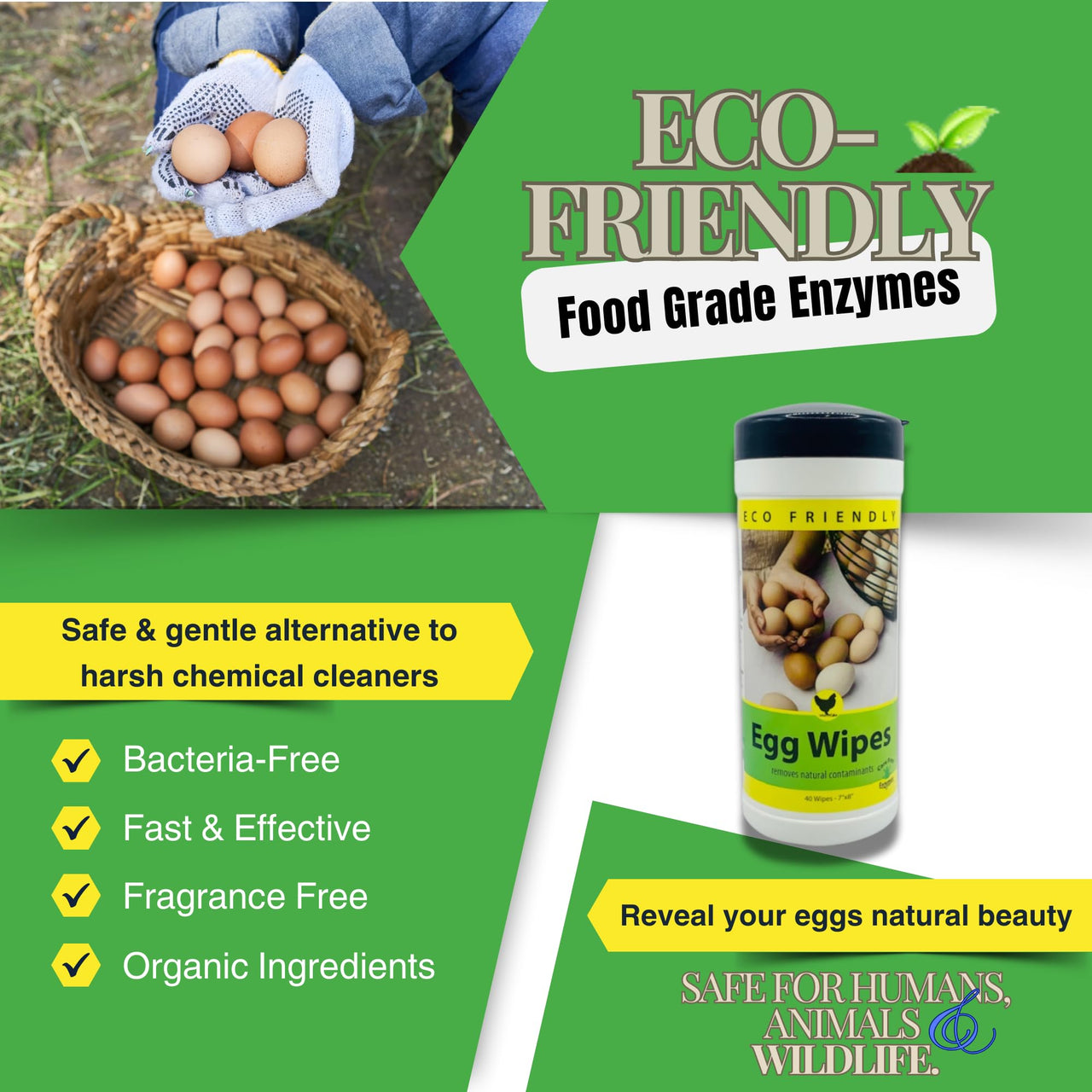 Care Free Enzymes Egg Wipes - 40 Count