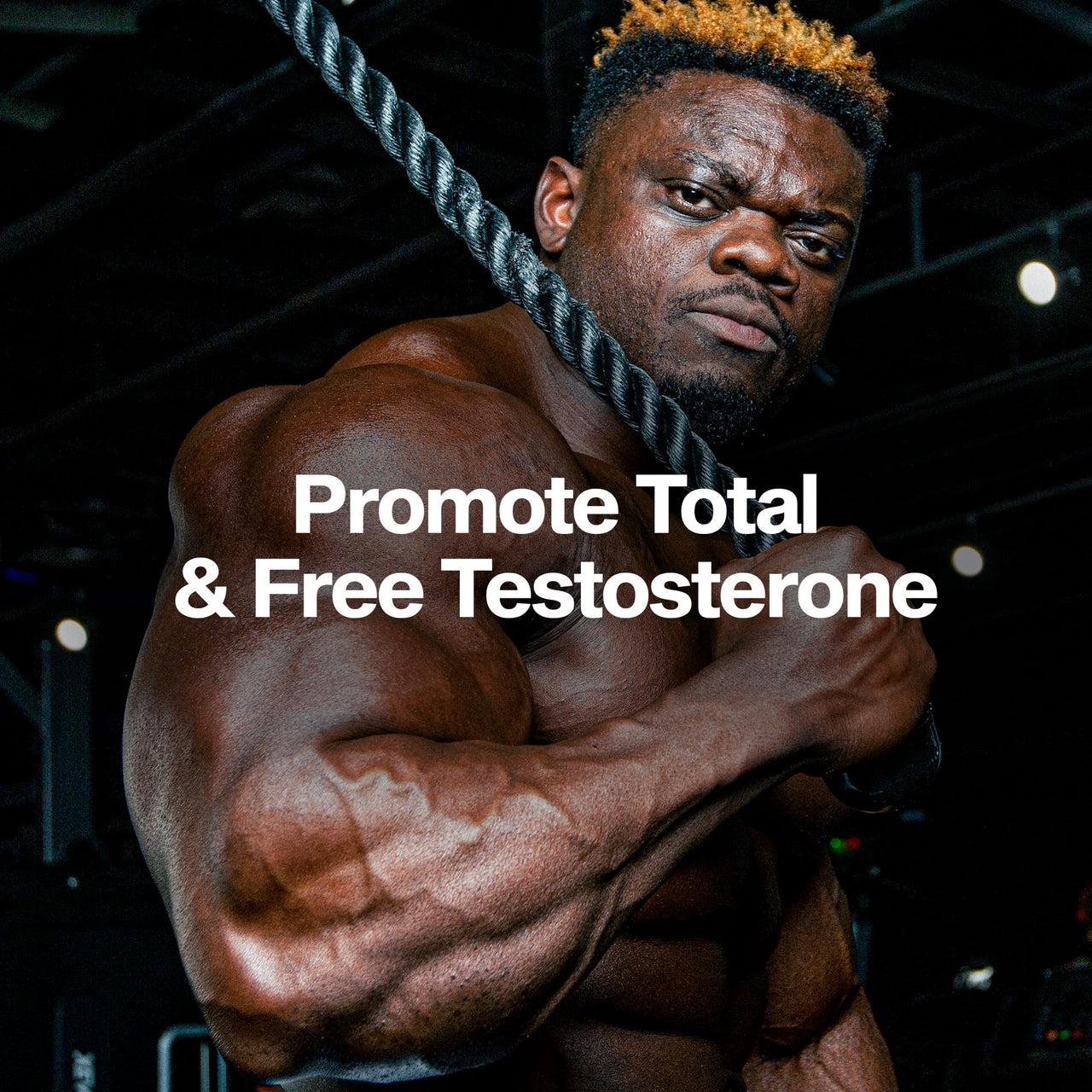 MuscleTech Testosterone Booster for Men, AlphaTest (150 Capsules) - Workout Testosterone Supplement for Men - Sports Nutrition Testosterone Booster for Endurance, Strength & Muscle Builder