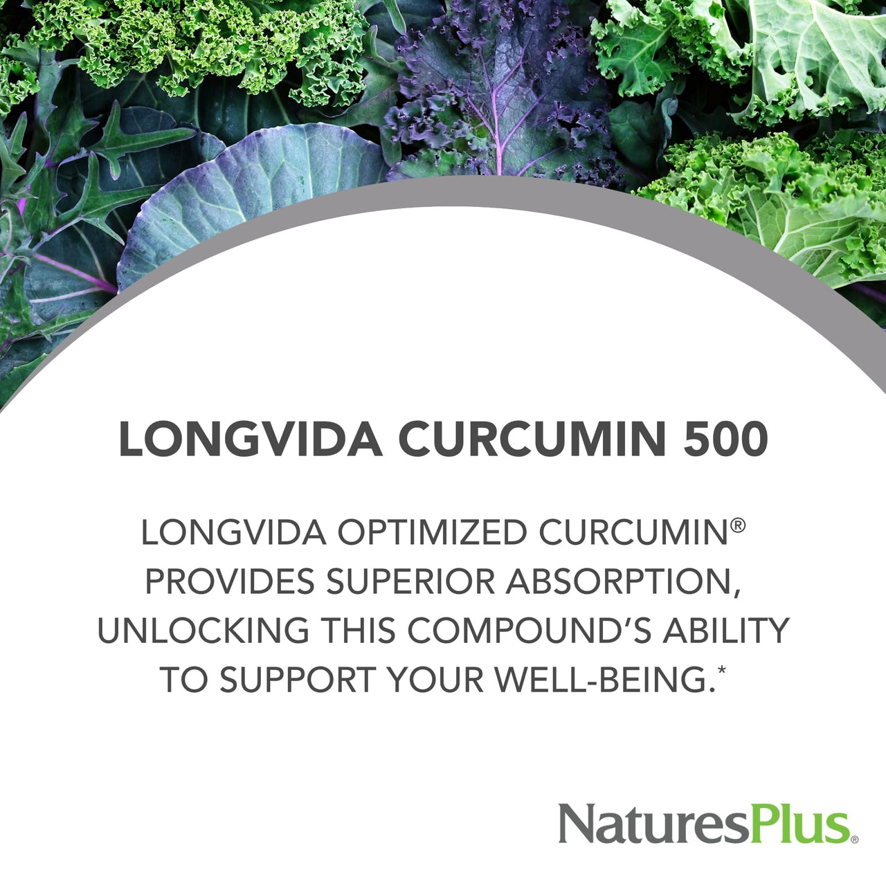 NaturesPlus PRO Longvida Curcumin 500 mg - 60 Capsules - Promotes Healthy Free Radical Protection - Non-GMO, Vegan & Gluten Free - 60 Servings