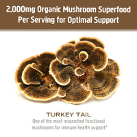 Thumbnail for OM MUSHROOM SUPERFOOD Turkey Tail Organic Mushroom Powder Pouch, 7.05 Ounce, 100 Servings, Immune Support, Polysacchrides, Beta-Glucans, Gut Health & Holistic Defense Mushroom Supplement