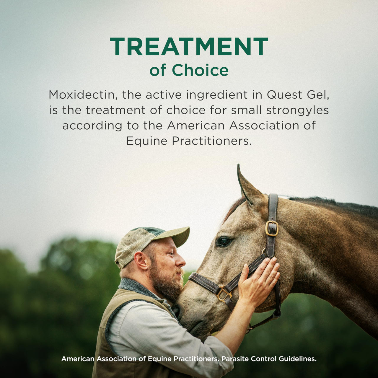 Quest Gel Moxidectin Horse Dewormer, Early Grazing Season recommended for Horses and Ponies 6 months and older, 0.5oz Sure-Dial Syringe