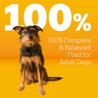 Thumbnail for Pedigree Adult Dry Dog Food, Complete Nutrition, Roasted Chicken & Vegetable Flavor, 3.5 lb. Bag