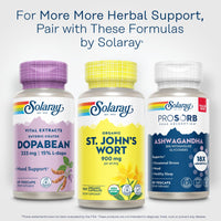 Thumbnail for SOLARAY Organic St John's Wort 900mg - St Johns Wort Capsules - Herbal Supplements for Wellness Support - Vegan, Lab Verified, 60-Day Guarantee - 50 Servings, 100 VegCaps