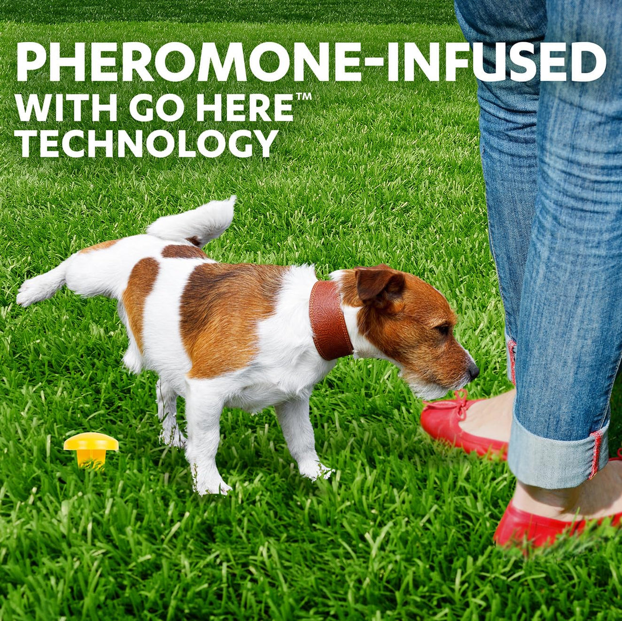 Simple Solution Pee Post Outdoor Dog Training Aid, 13-Inch Pheromone Infused Yard Marking Stake for Puppy Potty Training, Housebreaking, Lawn and Garden Dog Pee Attractant, Reusable Potty Helper