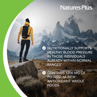 Thumbnail for NaturesPlus AgeLoss Blood Pressure Support - 90 Tablets - with Trans-Resveratrol & 1200 mg of Whole Foods - Vegetarian, Gluten Free - 30 Servings