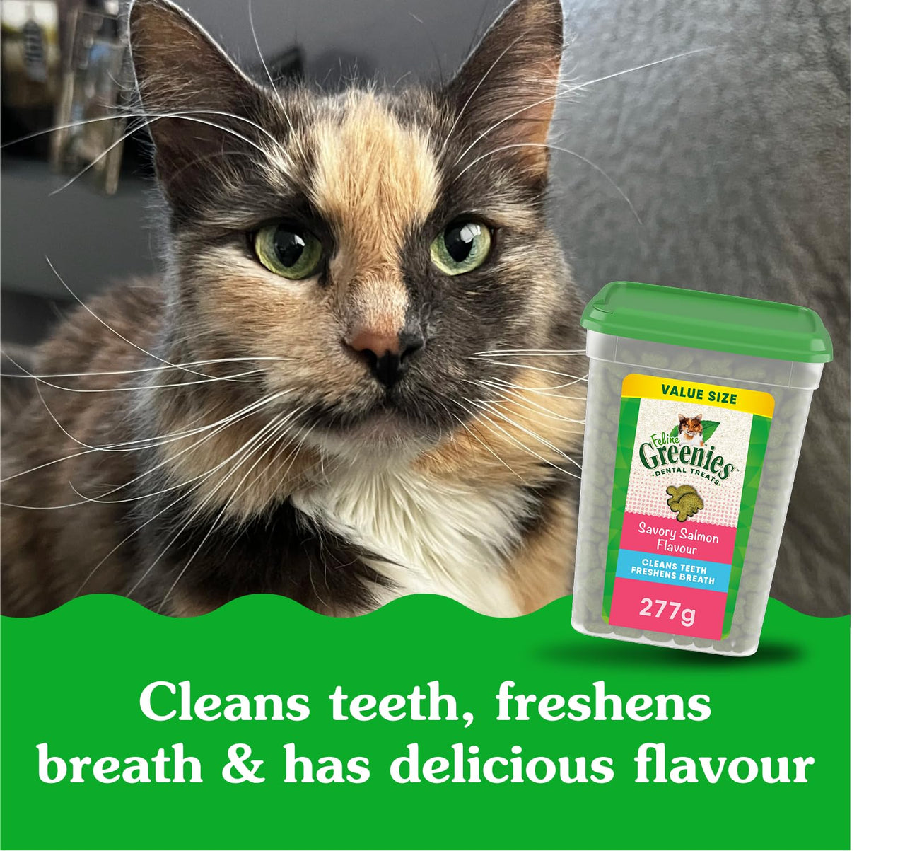 Greenies Cat Treats, Feline Veterinarian-Recommended Adult Natural Dental Cat Treats, Savory Salmon Flavor, 9.75 oz. Tub