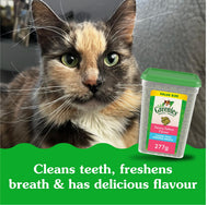 Thumbnail for Greenies Cat Treats, Feline Veterinarian-Recommended Adult Natural Dental Cat Treats, Savory Salmon Flavor, 9.75 oz. Tub