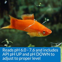 Thumbnail for API pH TEST & ADJUSTER KIT 250-Test Freshwater Aquarium Water pH Test and Adjuster Kit