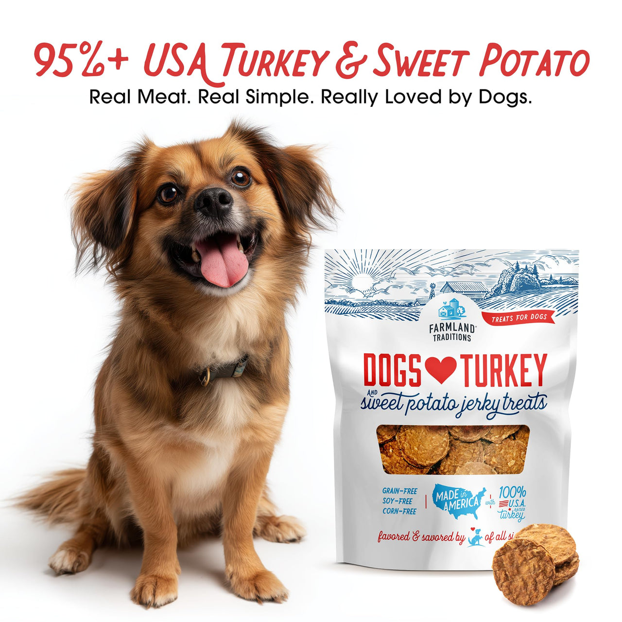 Farmland Traditions Filler Free Dogs Love Turkey & Sweet Potato Premium Jerky Treats for Dogs, 1 lb. Bag