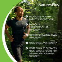 Thumbnail for NaturesPlus Source of Life Garden B-Complex - 60 Capsules - Complete Vitamin B Supplement - USDA Organic, Non-GMO, Vegan, Gluten Free - 30 Servings
