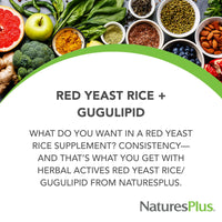 Thumbnail for NaturesPlus Herbal Actives Red Yeast Rice & Gugulipid - 120 Capsules - Non-GMO, Vegan, Gluten Free - 60 Servings