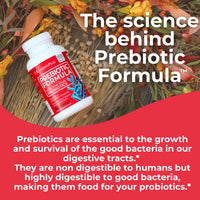 Thumbnail for Health Plus Prebiotic Formula - Probiotics + Prebiotics + Digestive Enzymes - Gluten Free, Dairy Free, Natural Herbal Ingredients (180 Capsules, 60 Servings)