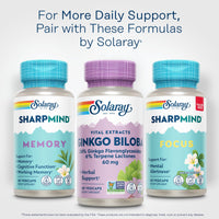Thumbnail for SOLARAY Ginkgo Biloba Extract, Vital Extracts - Brain Supplement - Ginkgo Biloba Capsules for Brain Health and Female Libido Support - Non GMO, Vegan, Gluten Free, 60-Day Guarantee - 60 Servings