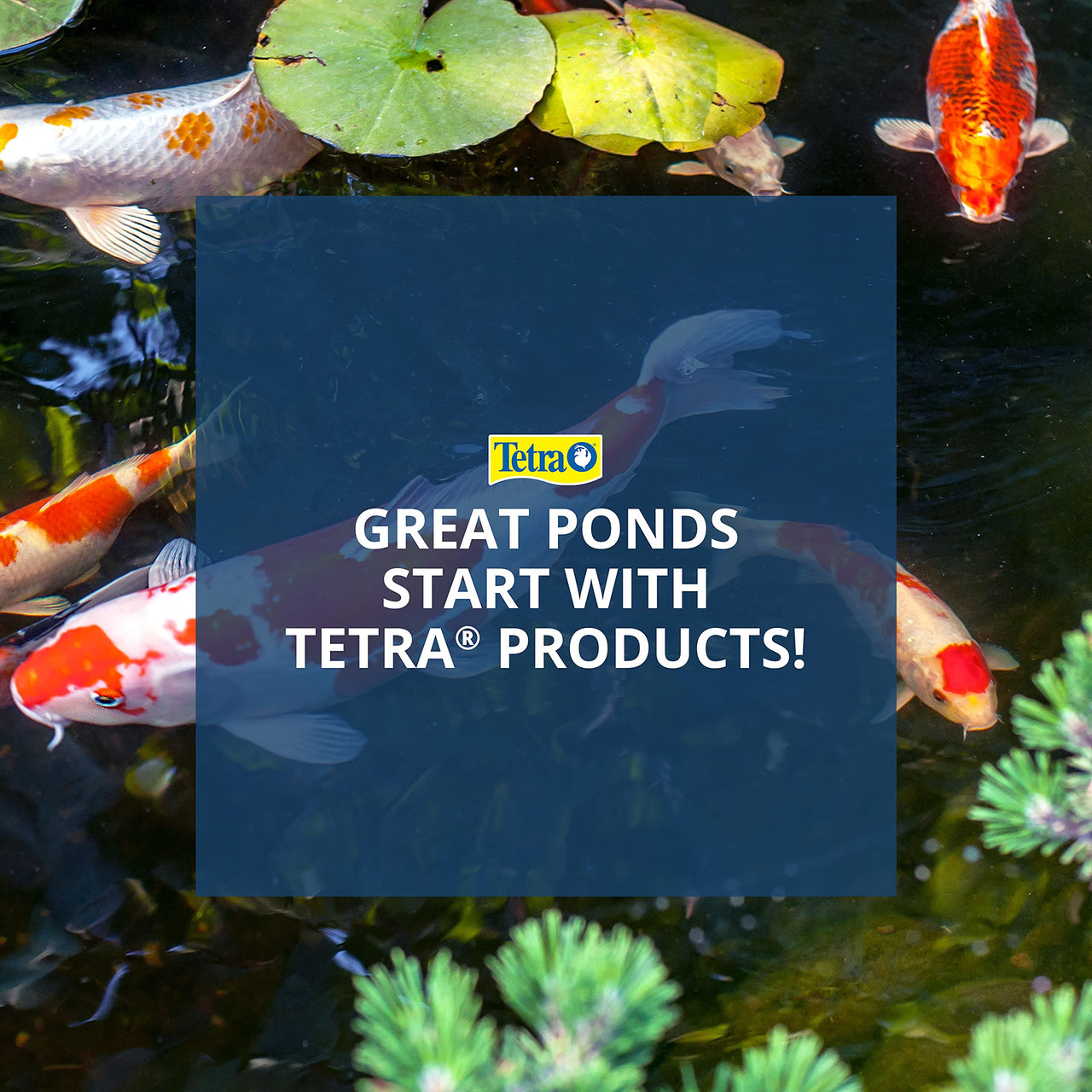 TetraPond Koi Vibrance 1.43 Pounds, Soft Sticks, Floating Pond Food