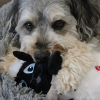Thumbnail for SPOT Baa Baa Black Sheep Plush Dog Toy - Cute and Cuddly Fleece Toy with Squeaker for Medium to Large Dogs and Puppies, 13in Black and White Lamb