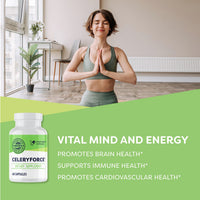 Thumbnail for Vimergy Celeryforce – Nutrients and Amino Acids – Supports Your Wellness Routine* – Kosher, Vegan & Gluten-Free – 60 Capsules